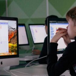 Благотворительная организация «Мята» подводит промежуточные итоги проекта «Будущие профессионалы»