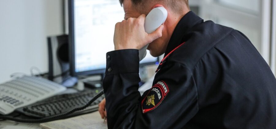 Полиция Петербурга выявила две оранжереи, где выращивалась конопля
