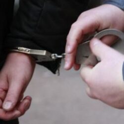 В Петербурге арестованы двое молодых людей за выращивание конопли в домашних условиях