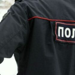 В Приморском районе Санкт-Петербурга задержан водитель с партией марихуаны