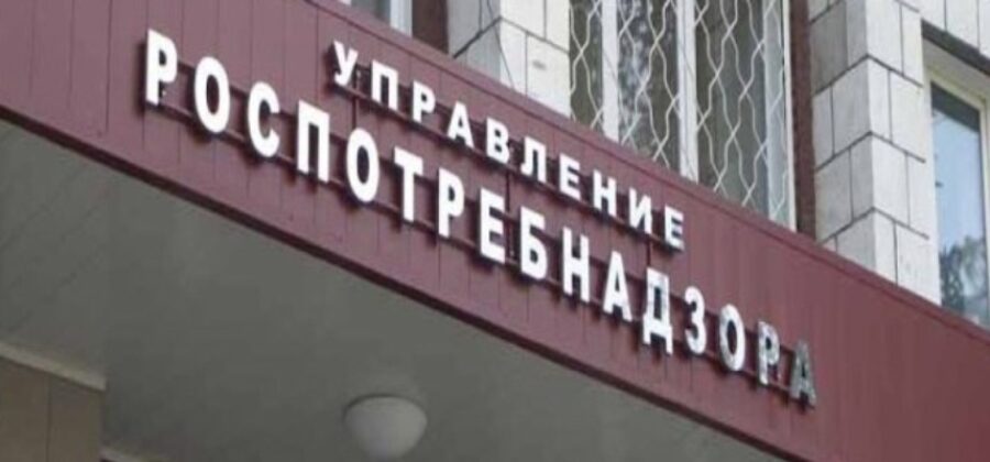 Всю весну и лето клещи не оставляли Петербург в покое