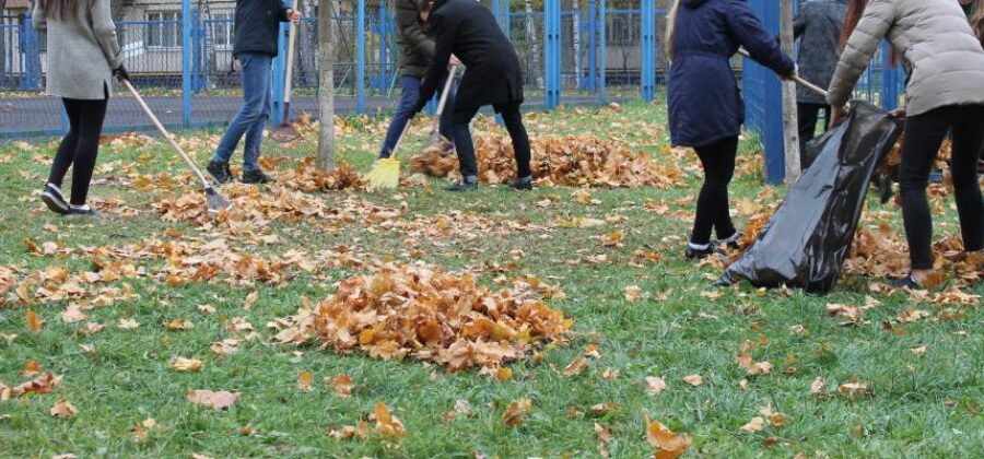 328 тысяч человек стали участниками субботников в Ленинградской области